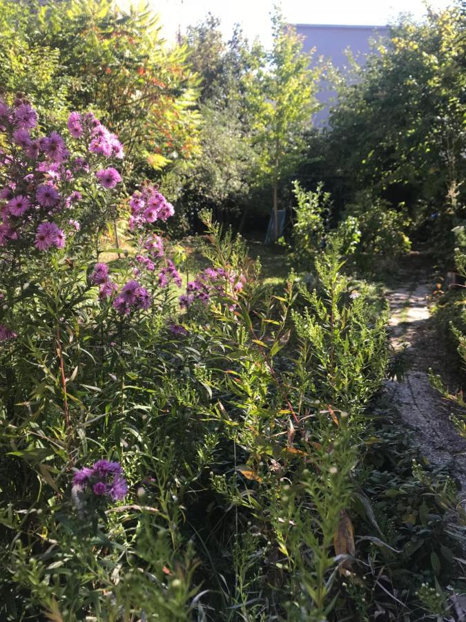 Un Jardin Dans La Ville Panzió Châlons-en-Champagne Kültér fotó